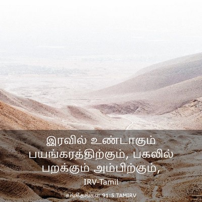 Picture 03 - சங்கீதங்கள் 91:5 TAMIRV - இரவில் உண்டாகும் - Bible Verse Picture