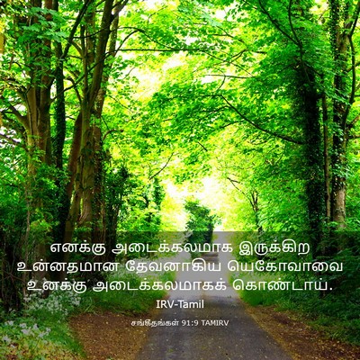 Picture 03 - சங்கீதங்கள் 91:9 TAMIRV - எனக்கு அடைக்கலமாக - Bible Verse Picture