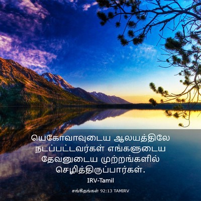 Picture 03 - சங்கீதங்கள் 92:13 TAMIRV - யெகோவாவுடைய - Bible Verse Picture