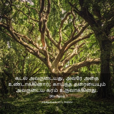 Picture 03 - சங்கீதங்கள் 95:5 TAMIRV - கடல் அவருடையது, - Bible Verse Picture