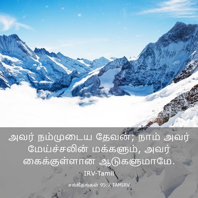 Picture 03 - சங்கீதங்கள் 95:7 TAMIRV - அவர் நம்முடைய - Bible Verse Picture