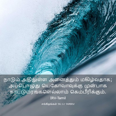 Picture 03 - சங்கீதங்கள் 96:12 TAMIRV - நாடும் அதிலுள்ள - Bible Verse Picture