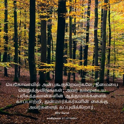 Picture 03 - சங்கீதங்கள் 97:10 TAMIRV - யெகோவாவில் - Bible Verse Picture