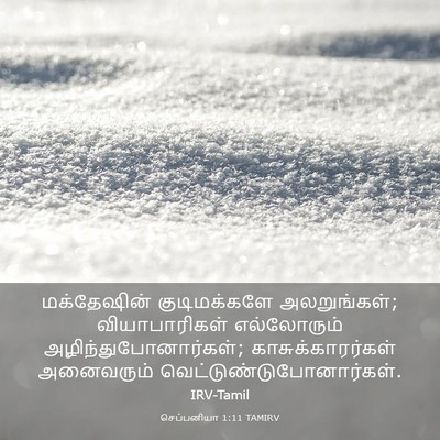 Picture 03 - செப்பனியா 1:11 TAMIRV - மக்தேஷின் - Bible Verse Picture