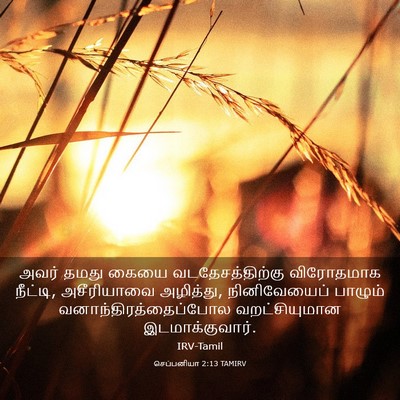Picture 03 - செப்பனியா 2:13 TAMIRV - அவர் தமது கையை - Bible Verse Picture