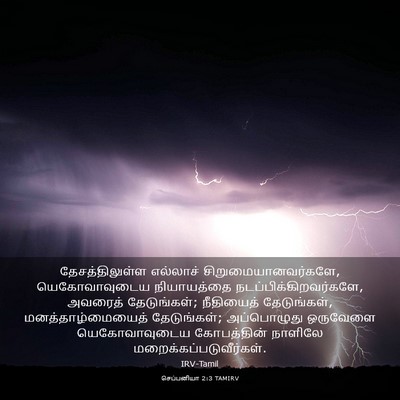Picture 03 - செப்பனியா 2:3 TAMIRV - தேசத்திலுள்ள - Bible Verse Picture