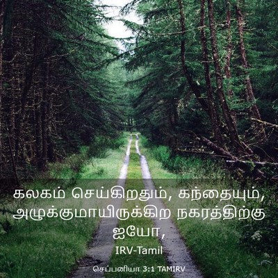 Picture 03 - செப்பனியா 3:1 TAMIRV - கலகம் - Bible Verse Picture