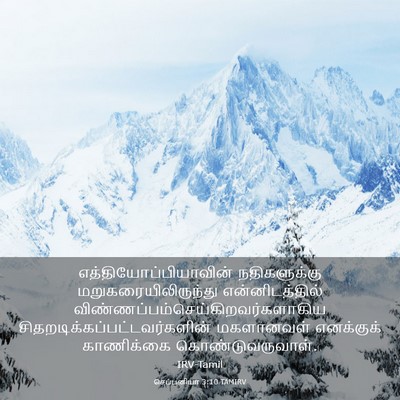 Picture 03 - செப்பனியா 3:10 TAMIRV -  - Bible Verse Picture