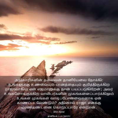 Picture 03 - தானியேல் 1:10 TAMIRV - அதிகாரிகளின் - Bible Verse Picture