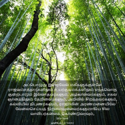 Picture 03 - தானியேல் 1:3 TAMIRV - அப்பொழுது - Bible Verse Picture