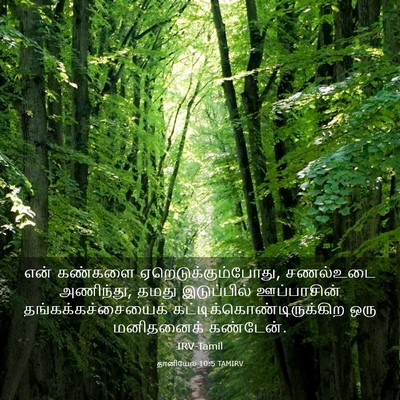 Picture 03 - தானியேல் 10:5 TAMIRV - என் கண்களை - Bible Verse Picture