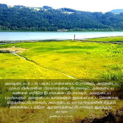 Picture 03 - தானியேல் 10:6 TAMIRV - அவருடைய உடல் - Bible Verse Picture