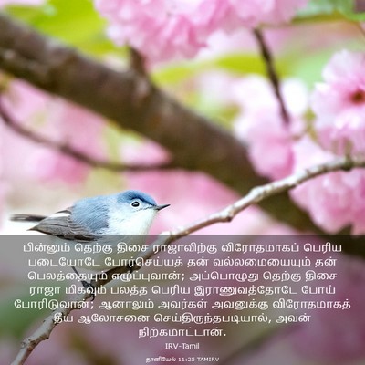 Picture 03 - தானியேல் 11:25 TAMIRV - பின்னும் தெற்கு - Bible Verse Picture
