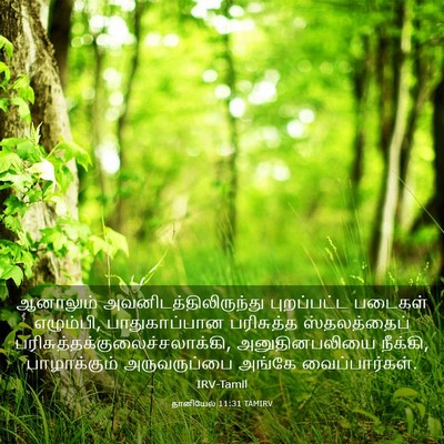 Picture 03 - தானியேல் 11:31 TAMIRV - ஆனாலும் - Bible Verse Picture