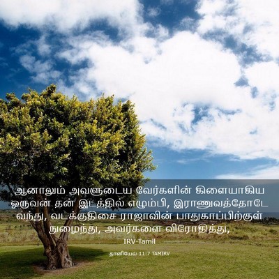 Picture 03 - தானியேல் 11:7 TAMIRV - ஆனாலும் அவளுடைய - Bible Verse Picture