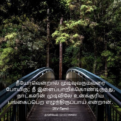 Picture 03 - தானியேல் 12:13 TAMIRV - நீயோவென்றால் - Bible Verse Picture