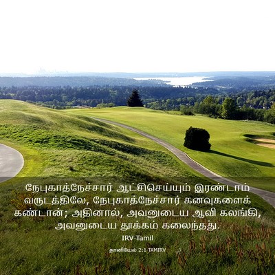 Picture 03 - தானியேல் 2:1 TAMIRV - நேபுகாத்நேச்சார் - Bible Verse Picture