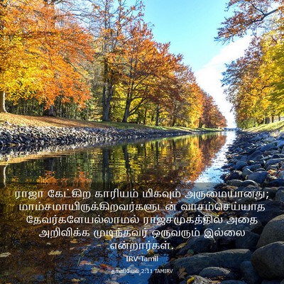 Picture 03 - தானியேல் 2:11 TAMIRV - ராஜா கேட்கிற - Bible Verse Picture