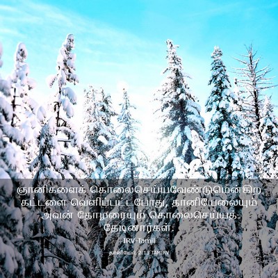 Picture 03 - தானியேல் 2:13 TAMIRV - ஞானிகளைக் - Bible Verse Picture