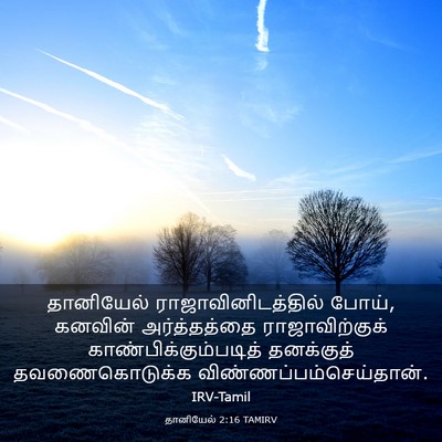 Picture 03 - தானியேல் 2:16 TAMIRV - தானியேல் - Bible Verse Picture