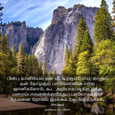 Picture 03 - தானியேல் 2:17 TAMIRV - பின்பு தானியேல் - Bible Verse Picture