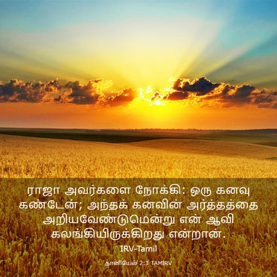 Picture 03 - தானியேல் 2:3 TAMIRV - ராஜா அவர்களை - Bible Verse Picture