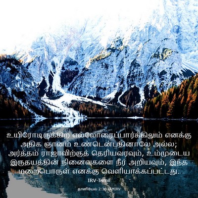 Picture 03 - தானியேல் 2:30 TAMIRV - உயிரோடிருக்கிற - Bible Verse Picture