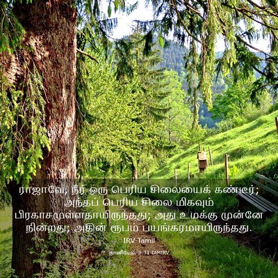 Picture 03 - தானியேல் 2:31 TAMIRV - ராஜாவே, நீர் ஒரு - Bible Verse Picture