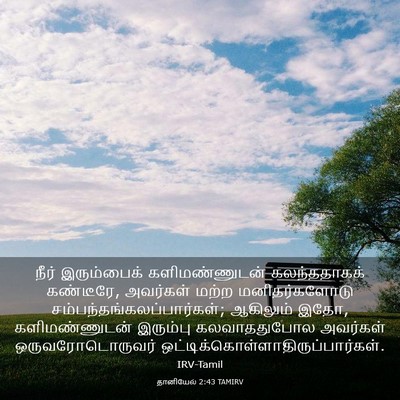 Picture 03 - தானியேல் 2:43 TAMIRV - நீர் இரும்பைக் - Bible Verse Picture