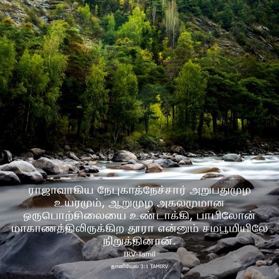 Picture 03 - தானியேல் 3:1 TAMIRV - ராஜாவாகிய - Bible Verse Picture