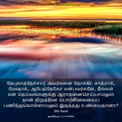 Picture 03 - தானியேல் 3:14 TAMIRV - நேபுகாத்நேச்சார் - Bible Verse Picture