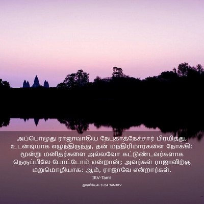 Picture 03 - தானியேல் 3:24 TAMIRV - அப்பொழுது - Bible Verse Picture