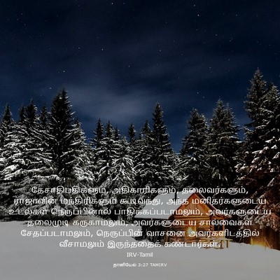 Picture 03 - தானியேல் 3:27 TAMIRV - தேசாதிபதிகளும், - Bible Verse Picture