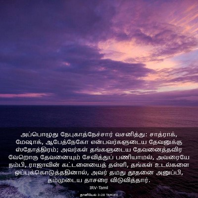 Picture 03 - தானியேல் 3:28 TAMIRV - அப்பொழுது - Bible Verse Picture