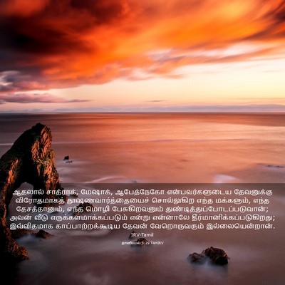 Picture 03 - தானியேல் 3:29 TAMIRV - ஆதலால் சாத்ராக், - Bible Verse Picture