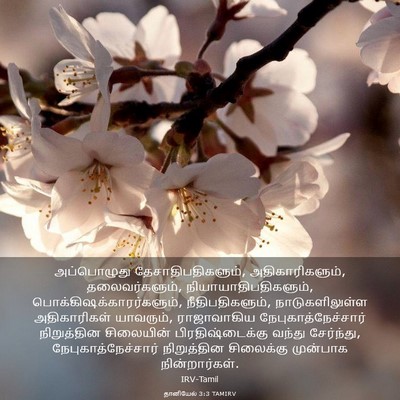 Picture 03 - தானியேல் 3:3 TAMIRV - அப்பொழுது - Bible Verse Picture
