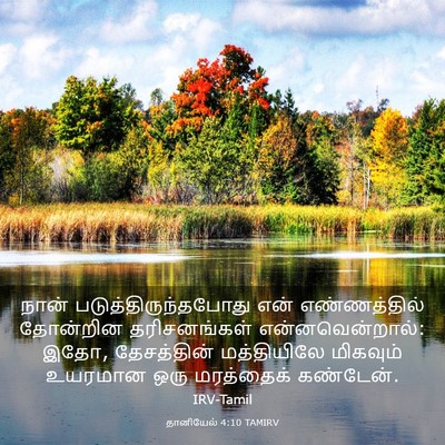 Picture 03 - தானியேல் 4:10 TAMIRV - நான் - Bible Verse Picture