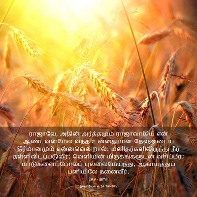 Picture 03 - தானியேல் 4:24 TAMIRV - ராஜாவே, அதின் - Bible Verse Picture