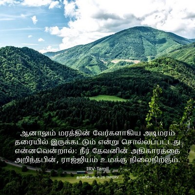 Picture 03 - தானியேல் 4:26 TAMIRV - ஆனாலும் மரத்தின் - Bible Verse Picture