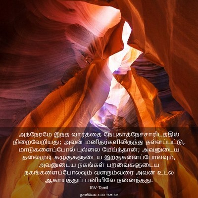 Picture 03 - தானியேல் 4:33 TAMIRV - அந்நேரமே இந்த - Bible Verse Picture