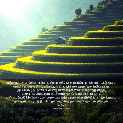 Picture 03 - தானியேல் 4:34 TAMIRV - அந்த நாட்கள் - Bible Verse Picture