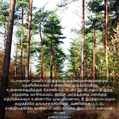 Picture 03 - தானியேல் 5:16 TAMIRV - பொருளை - Bible Verse Picture