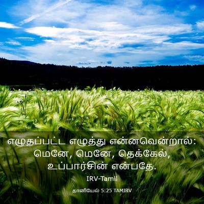 Picture 03 - தானியேல் 5:25 TAMIRV - எழுதப்பட்ட - Bible Verse Picture