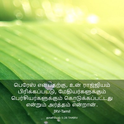 Picture 03 - தானியேல் 5:28 TAMIRV - பெரேஸ் என்பதற்கு, - Bible Verse Picture
