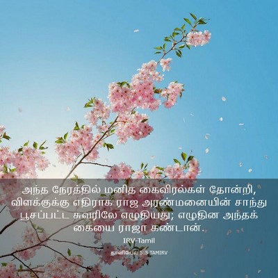 Picture 03 - தானியேல் 5:5 TAMIRV - அந்த நேரத்தில் - Bible Verse Picture