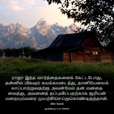 Picture 03 - தானியேல் 6:14 TAMIRV - ராஜா இந்த - Bible Verse Picture