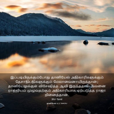 Picture 03 - தானியேல் 6:3 TAMIRV -  - Bible Verse Picture