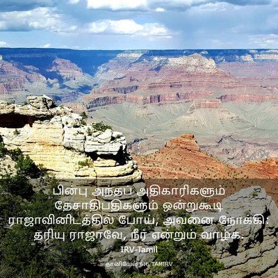 Picture 03 - தானியேல் 6:6 TAMIRV - பின்பு அந்தப் - Bible Verse Picture