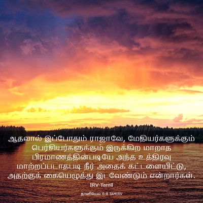 Picture 03 - தானியேல் 6:8 TAMIRV - ஆதலால் இப்போதும் - Bible Verse Picture