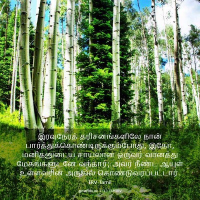 Picture 03 - தானியேல் 7:13 TAMIRV - இரவுநேரத் - Bible Verse Picture